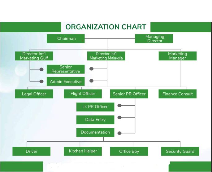 organization chart of hr international pvt ltd